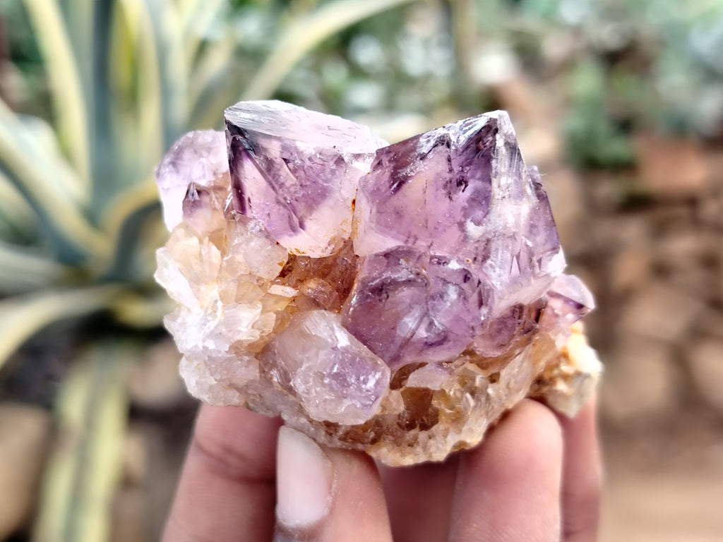 Natural Dark Amethyst Spirit Quartz Clusters x 12 From Boekenhouthoek, South Africa - Toprock Gemstones and Minerals 