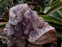 Natural Jacaranda Amethyst Quartz Cluster x 2 From Mumbwa, Zambia - Toprock Gemstones and Minerals 