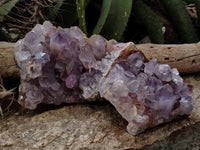 Natural Jacaranda Amethyst Quartz Cluster x 2 From Mumbwa, Zambia - Toprock Gemstones and Minerals 