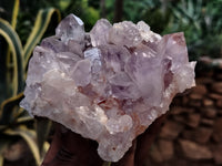 Natural Jacaranda Amethyst Quartz Cluster x 2 From Mumbwa, Zambia - Toprock Gemstones and Minerals 