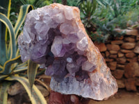 Natural Jacaranda Amethyst Quartz Cluster x 2 From Mumbwa, Zambia - Toprock Gemstones and Minerals 