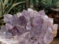 Natural Jacaranda Amethyst Quartz Cluster x 2 From Mumbwa, Zambia - Toprock Gemstones and Minerals 