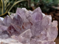 Natural Jacaranda Amethyst Quartz Cluster x 2 From Mumbwa, Zambia - Toprock Gemstones and Minerals 