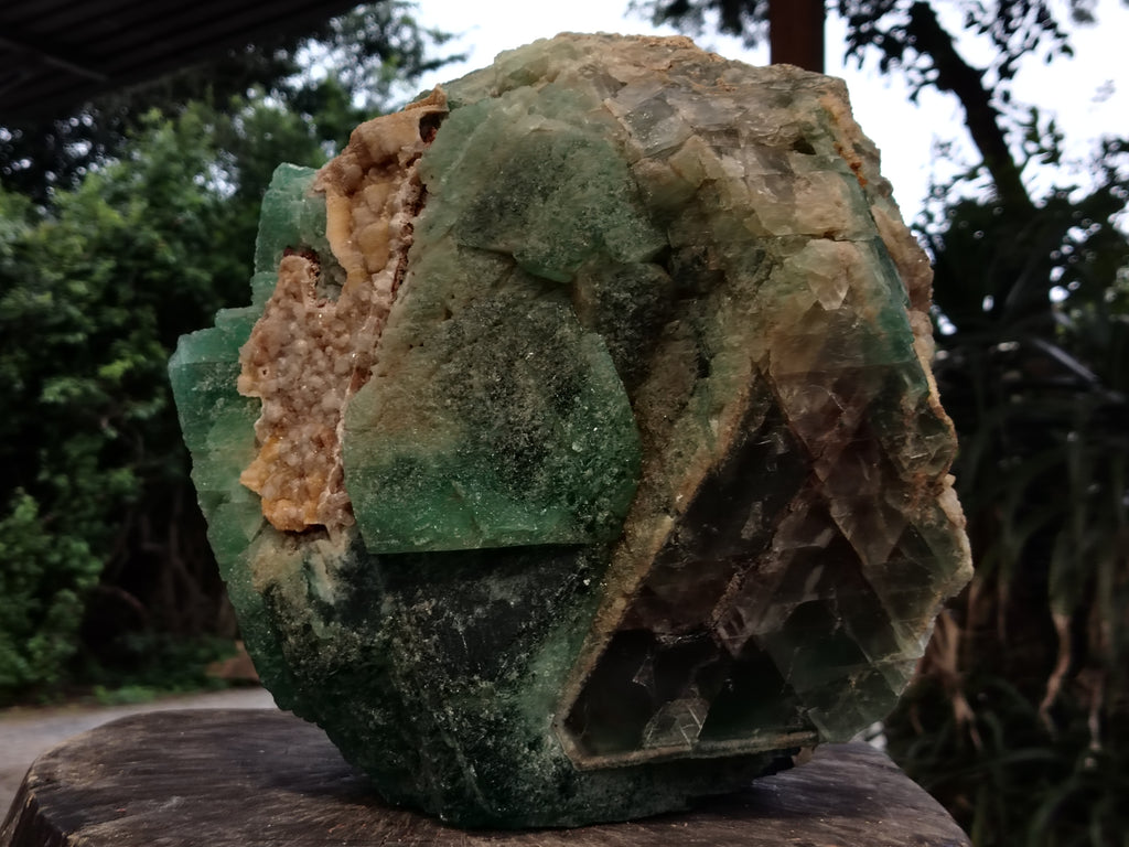 Natural Extra Large Single Green Fluorite Crystal x 1 From South Africa - Toprock Gemstones and Minerals 