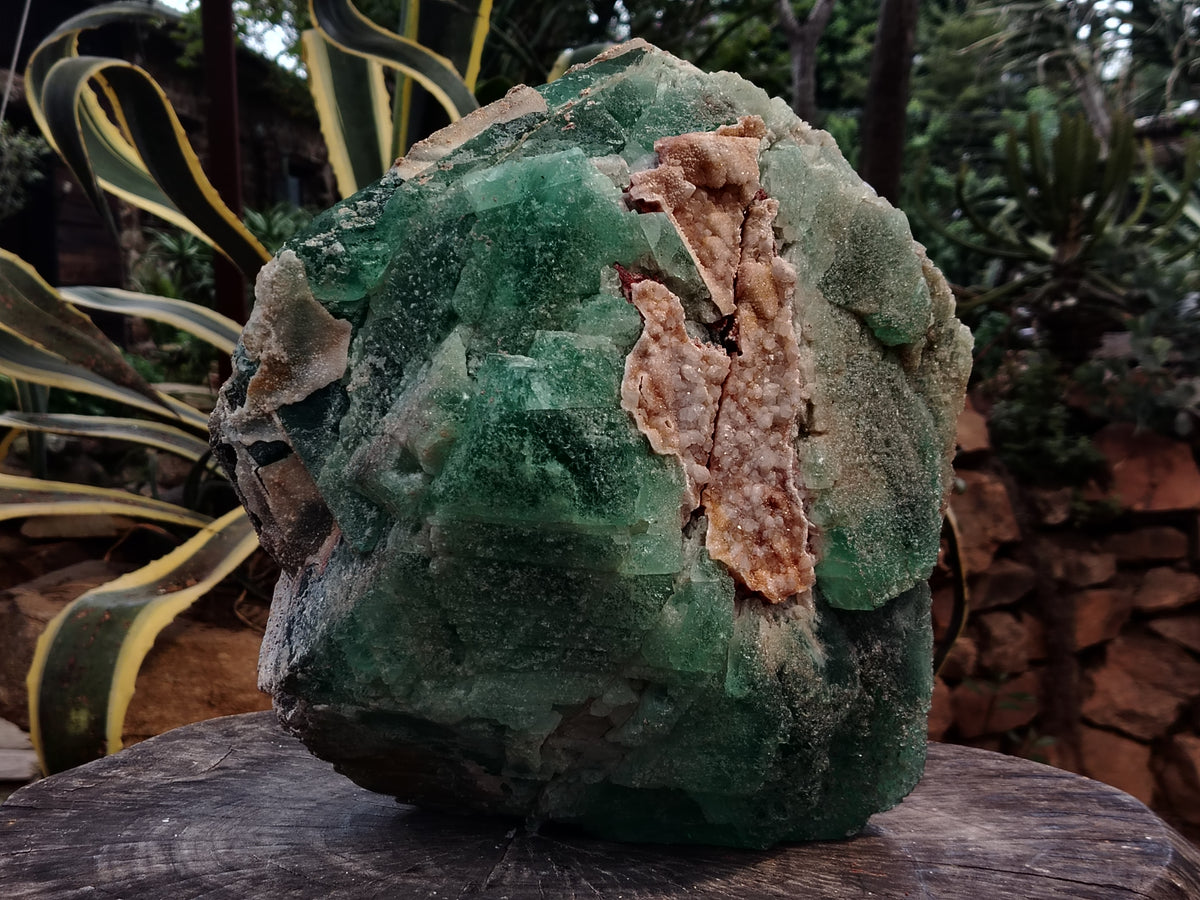 Natural Extra Large Single Green Fluorite Crystal x 1 From South Africa - Toprock Gemstones and Minerals 