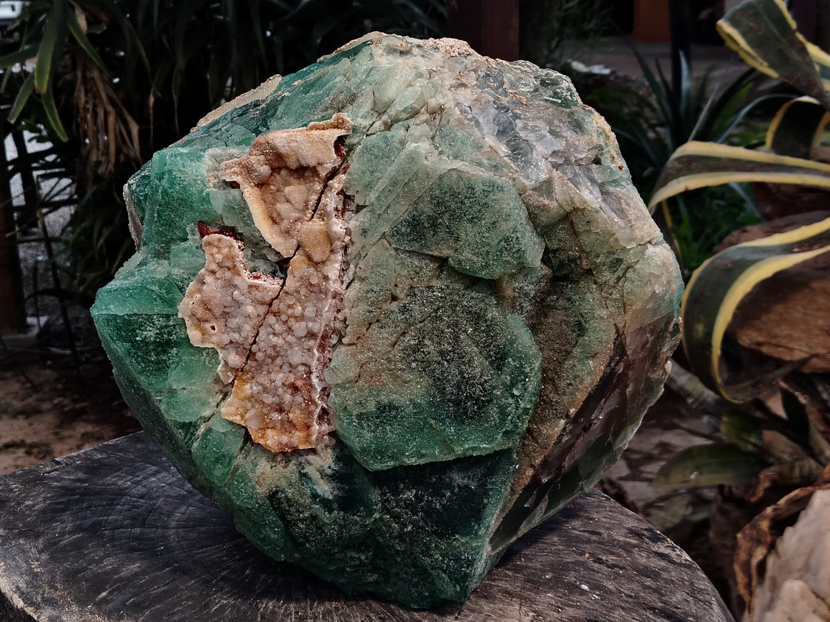 Natural Extra Large Single Green Fluorite Crystal x 1 From South Africa - Toprock Gemstones and Minerals 