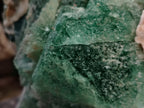 Natural Extra Large Single Green Fluorite Crystal x 1 From South Africa - Toprock Gemstones and Minerals 