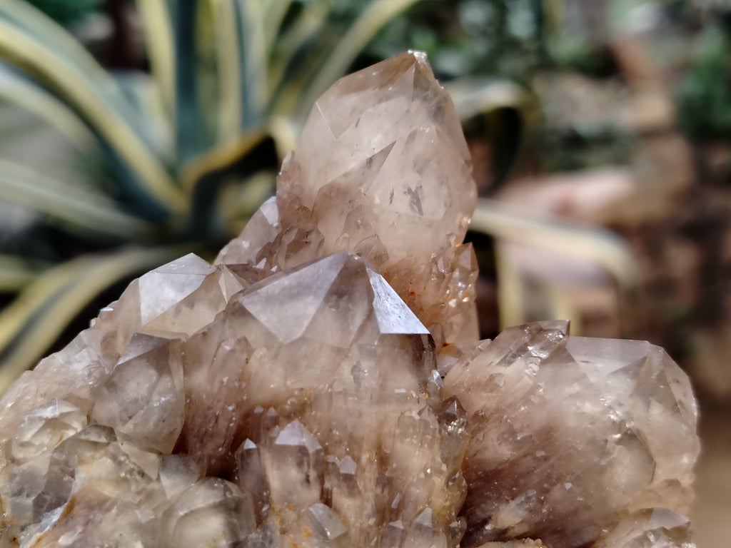 Natural Smokey Phantom Quartz Clusters x 3 From Luena, Congo - Toprock Gemstones and Minerals 