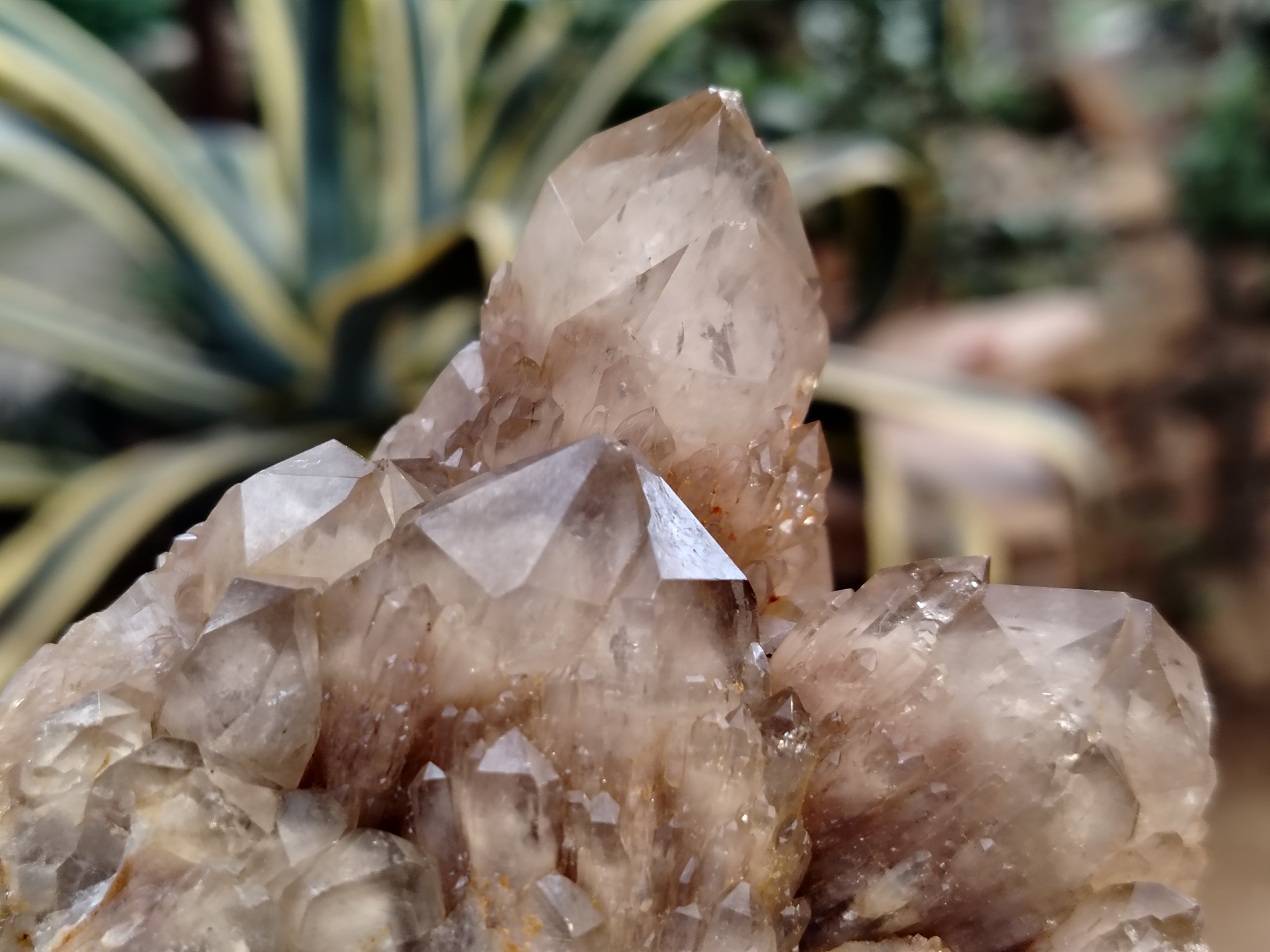 Natural Smokey Phantom Quartz Clusters x 3 From Luena, Congo - Toprock Gemstones and Minerals 