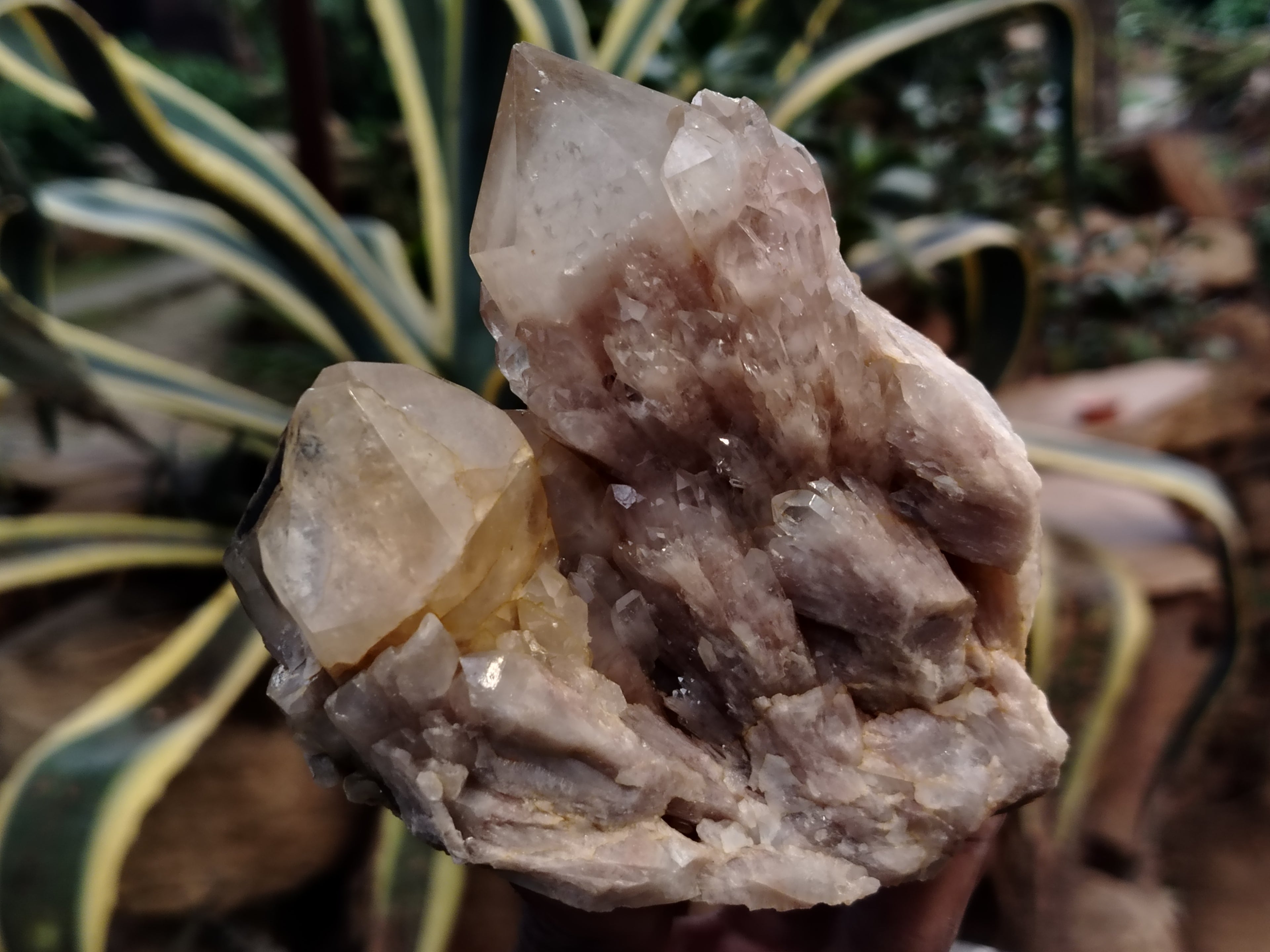 Natural Smokey Phantom Quartz Clusters x 3 From Luena, Congo - Toprock Gemstones and Minerals 