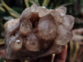 Natural Smokey Phantom Quartz Clusters x 3 From Luena, Congo - Toprock Gemstones and Minerals 