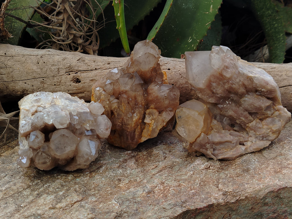 Natural Smokey Phantom Quartz Clusters x 3 From Luena, Congo - Toprock Gemstones and Minerals 