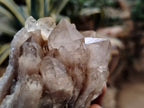 Natural Smokey Phantom Quartz Clusters x 3 From Luena, Congo - Toprock Gemstones and Minerals 