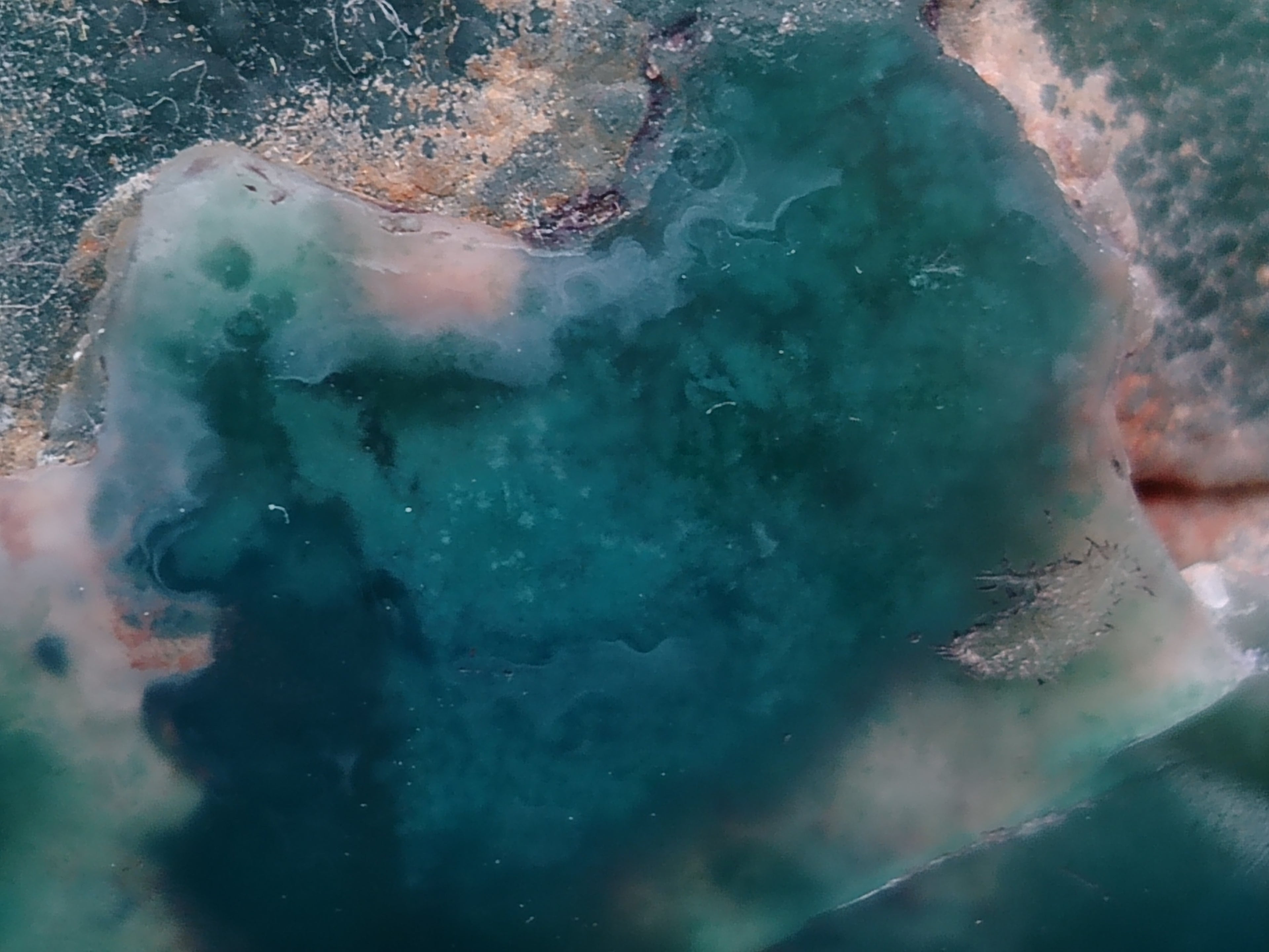 Polished On One Side Emerald Mtorolite Plates x 4 From Mutorashanga, Zimbabwe - Toprock Gemstones and Minerals 