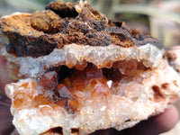 Natural Limonite Quartz Clusters x 3 From Solwezi, Zambia - Toprock Gemstones and Minerals 