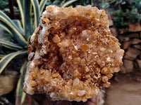 Natural Limonite Quartz Clusters x 3 From Solwezi, Zambia - Toprock Gemstones and Minerals 
