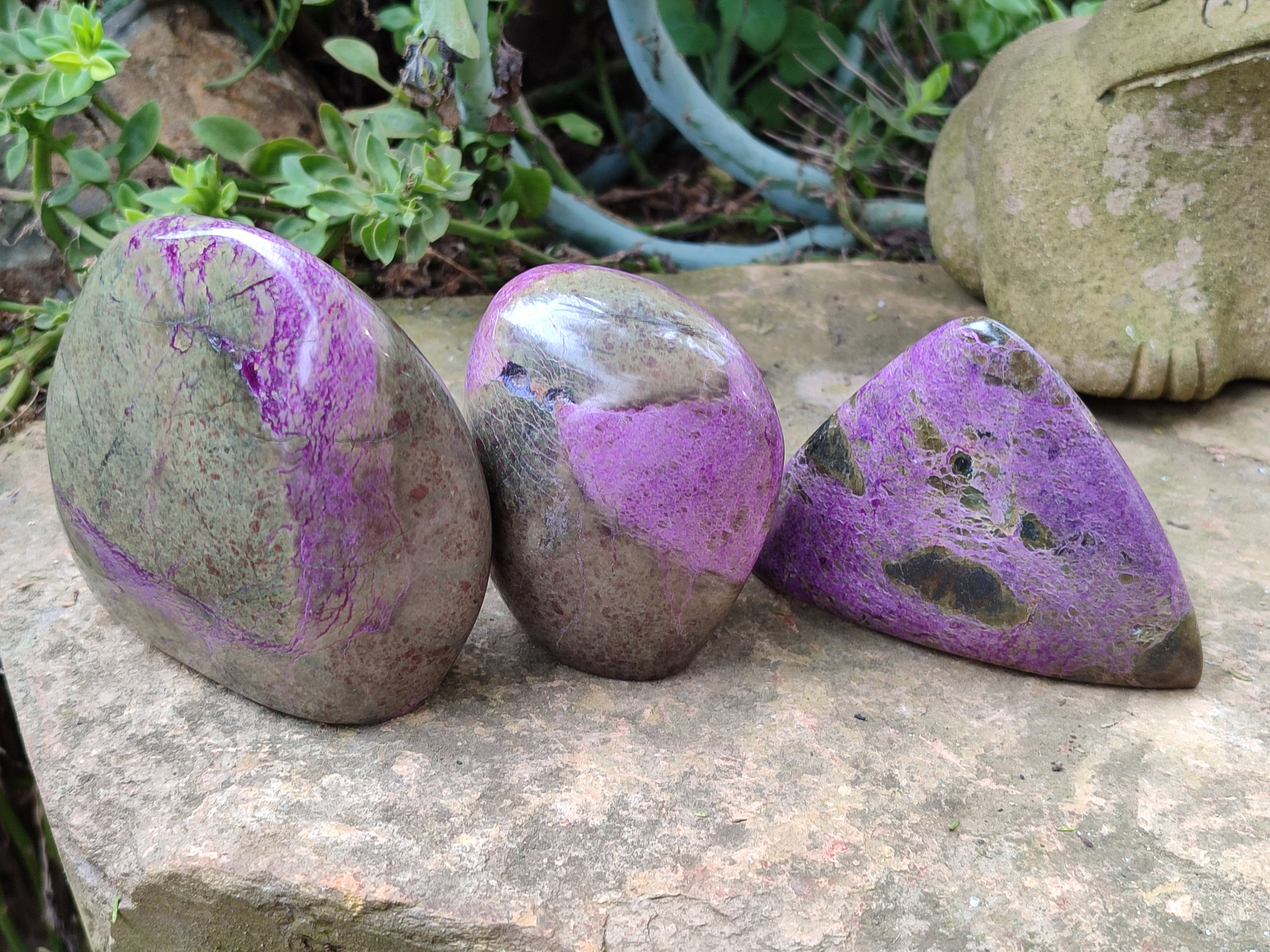 Polished Stichtite Standing Free Forms x 3 From Barberton, South Africa - Toprock Gemstones and Minerals 