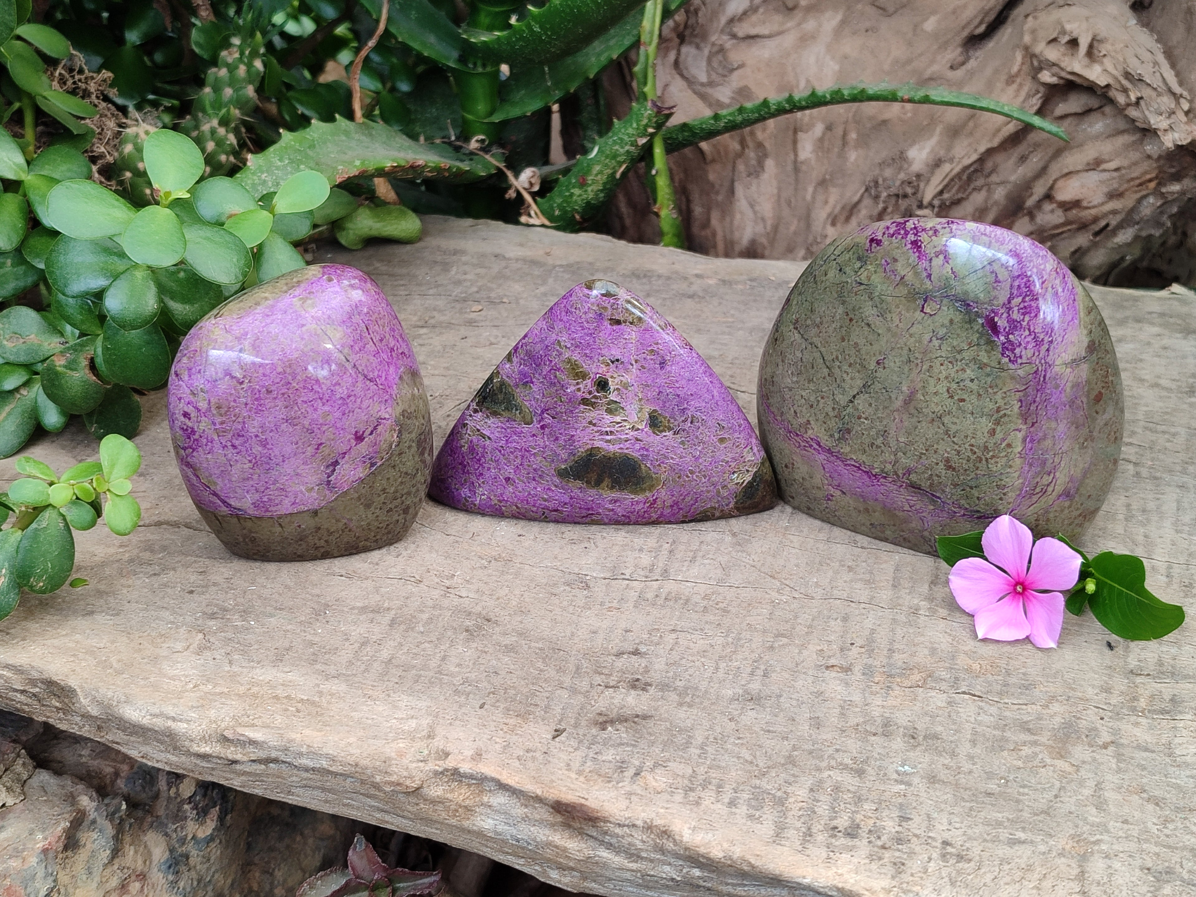 Polished Stichtite Standing Free Forms x 3 From Barberton, South Africa - Toprock Gemstones and Minerals 