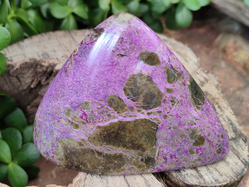 Polished Stichtite Standing Free Forms x 3 From Barberton, South Africa - Toprock Gemstones and Minerals 