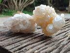 Natural White Candle Quartz Clusters x 12 From Madagascar - Toprock Gemstones and Minerals 