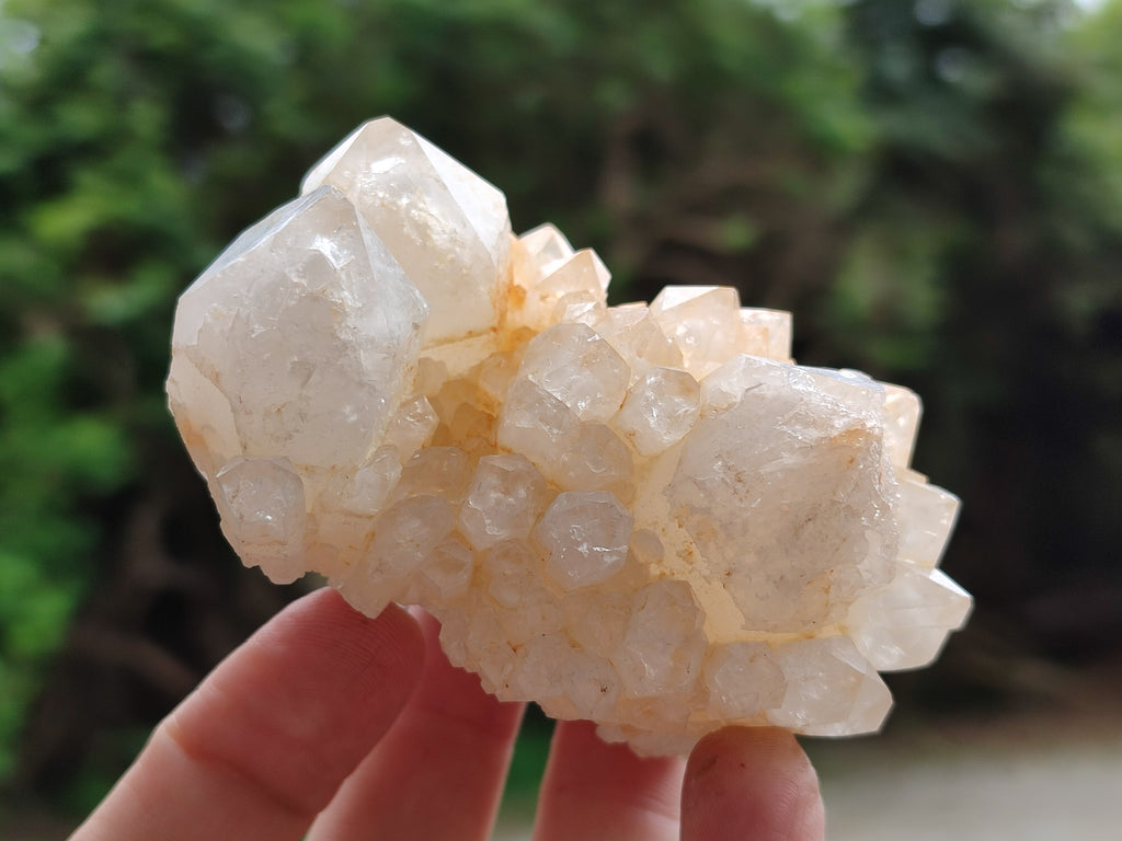 Natural White Candle Quartz Clusters x 12 From Madagascar - Toprock Gemstones and Minerals 