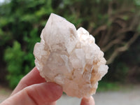 Natural White Candle Quartz Clusters x 12 From Madagascar