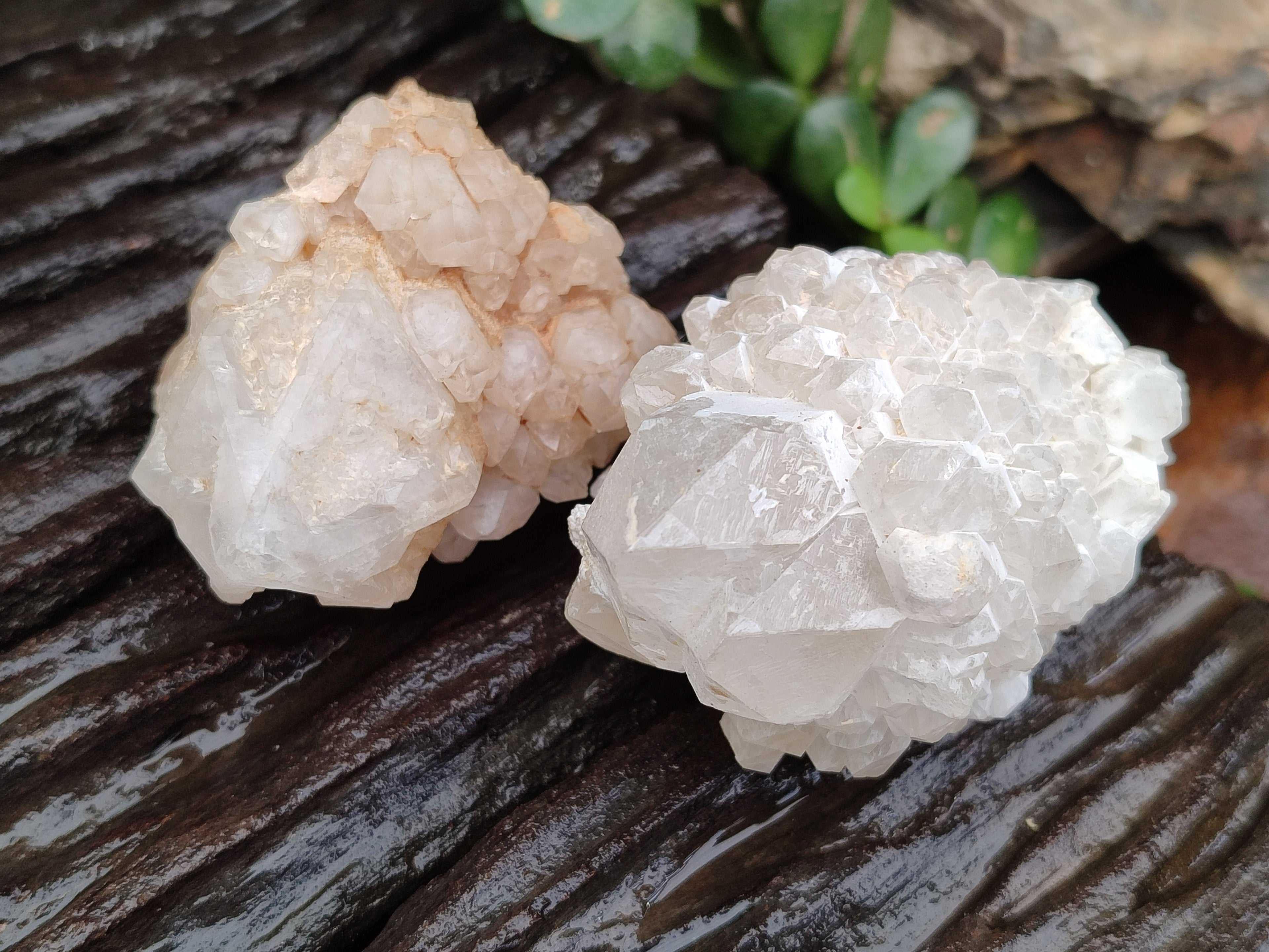 Natural White Candle Quartz Clusters x 12 From Madagascar - Toprock Gemstones and Minerals 