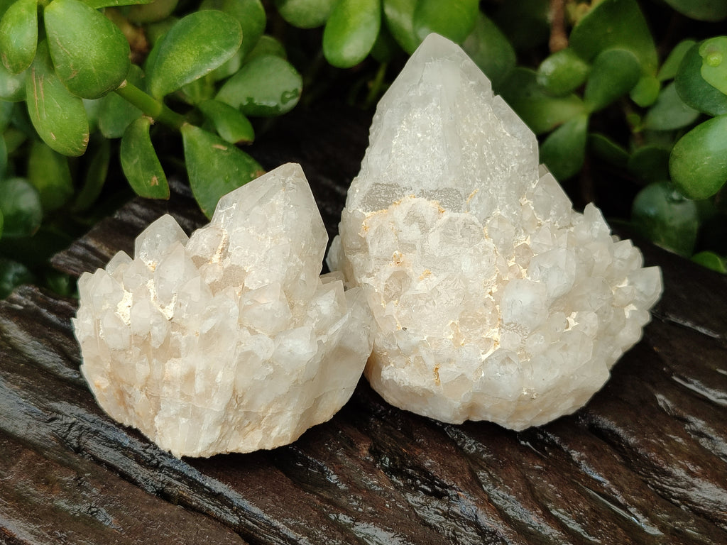 Natural White Candle Quartz Clusters x 12 From Madagascar - Toprock Gemstones and Minerals 
