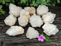 Natural White Candle Quartz Clusters x 12 From Madagascar