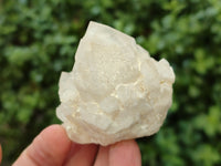 Natural White Candle Quartz Clusters x 12 From Madagascar