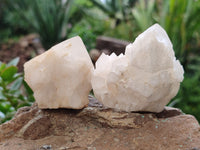 Natural White Candle Quartz Clusters x 12 From Madagascar