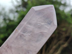 Polished Double Terminated Rose Quartz Points x 6 From Ambatondrazaka, Madagascar - Toprock Gemstones and Minerals 