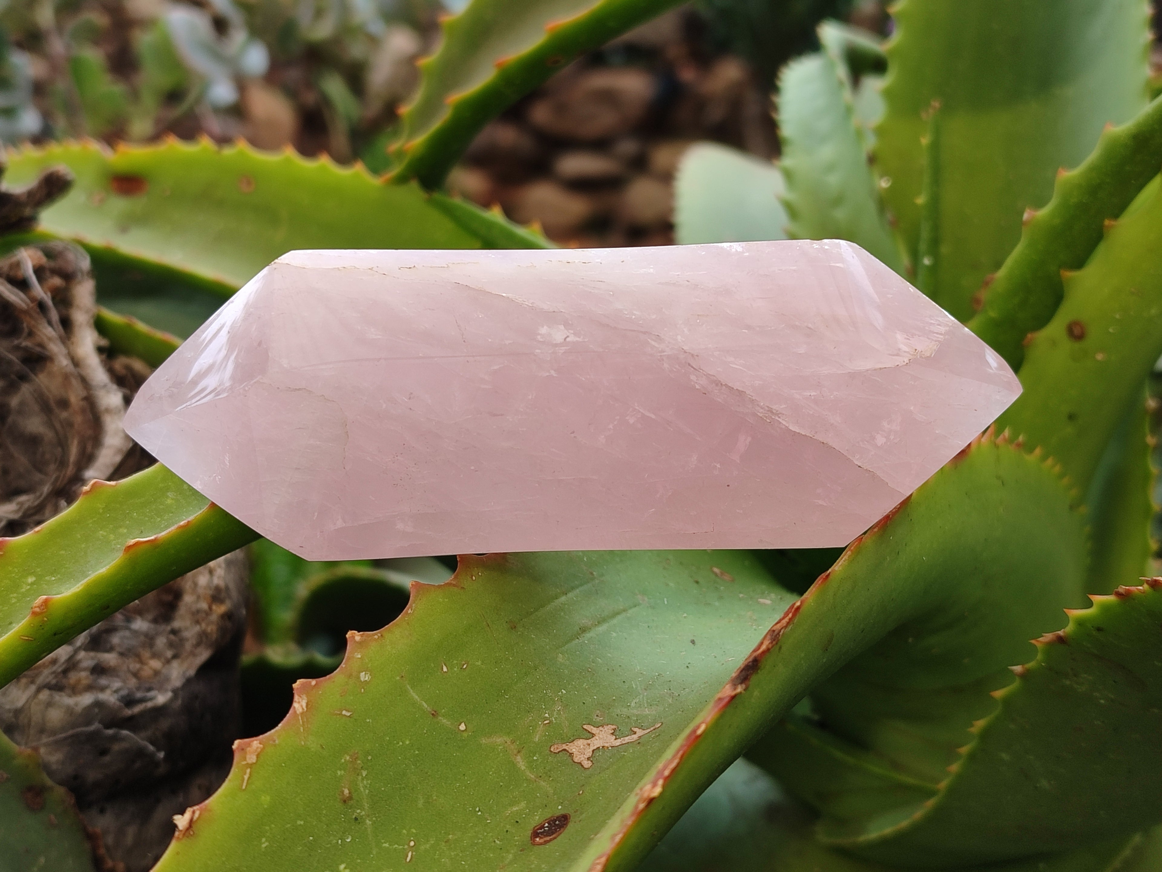 Polished Double Terminated Rose Quartz Points x 6 From Ambatondrazaka, Madagascar - Toprock Gemstones and Minerals 