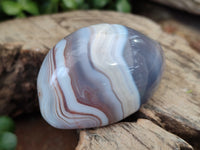 Polished Sashe River Agate Free Forms x 12 From Zimbabwe