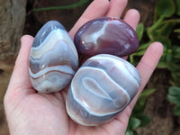 Polished Sashe River Agate Free Forms x 12 From Zimbabwe