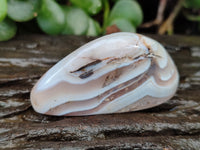 Polished Sashe River Agate Free Forms x 12 From Zimbabwe