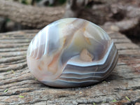 Polished Sashe River Agate Free Forms x 12 From Zimbabwe