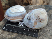 Polished Sashe River Agate Free Forms x 12 From Zimbabwe