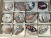 Polished Sashe River Agate Free Forms x 12 From Zimbabwe
