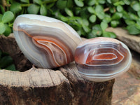 Polished Sashe River Agate Free Forms x 12 From Zimbabwe