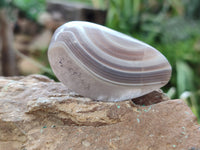 Polished Sashe River Agate Free Forms x 12 From Zimbabwe
