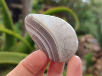 Polished Sashe River Agate Free Forms x 12 From Zimbabwe