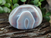 Polished Sashe River Agate Free Forms x 12 From Zimbabwe