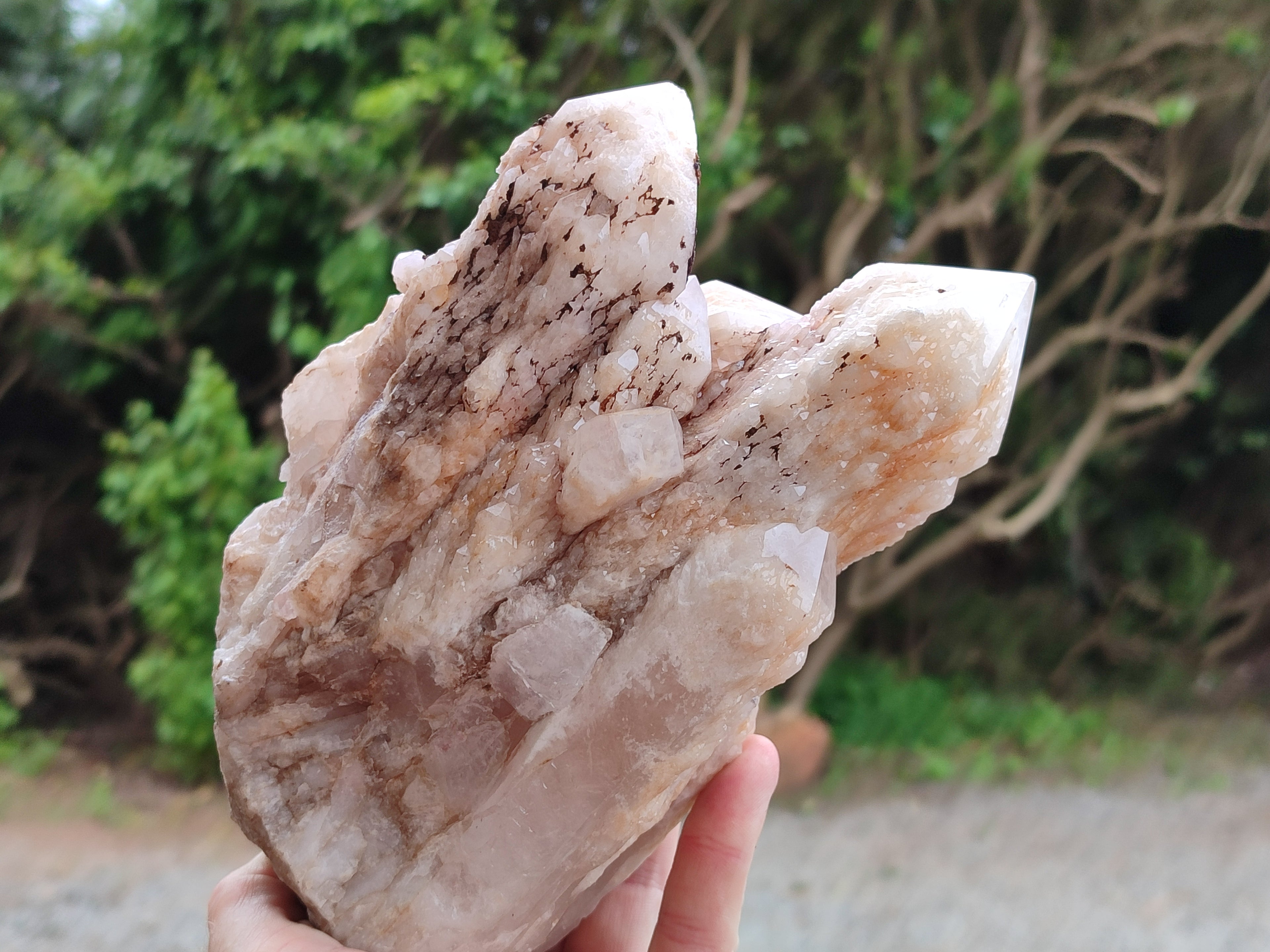 Natural White Cascading Fir Tree Candle Quartz Cluster x 1 From Madagascar - Toprock Gemstones and Minerals 