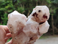 Natural White Cascading Fir Tree Candle Quartz Cluster x 1 From Madagascar