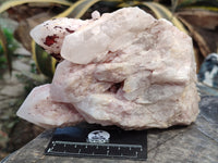 Natural White Cascading Fir Tree Candle Quartz Cluster x 1 From Madagascar