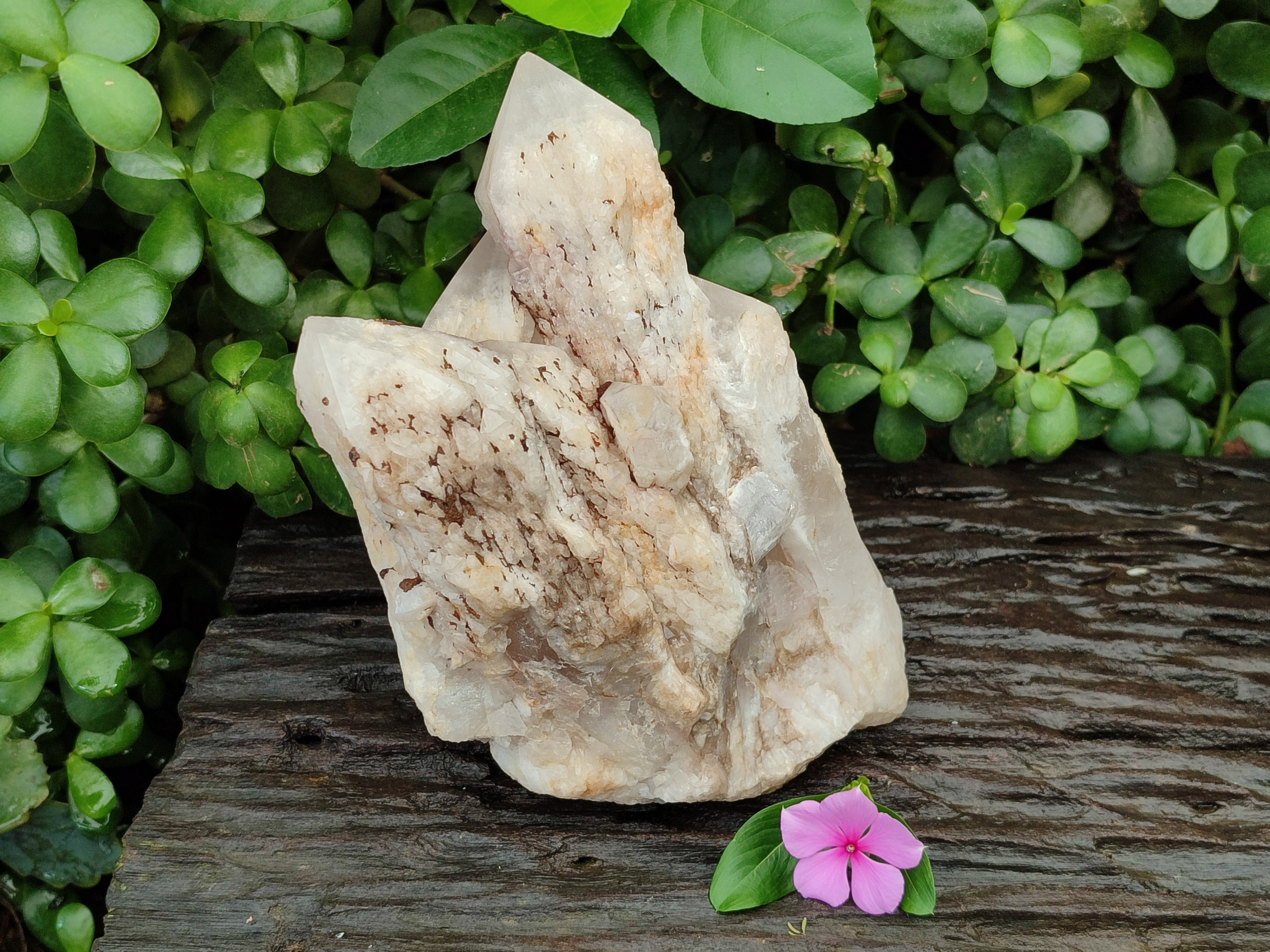 Natural White Cascading Fir Tree Candle Quartz Cluster x 1 From Madagascar - Toprock Gemstones and Minerals 