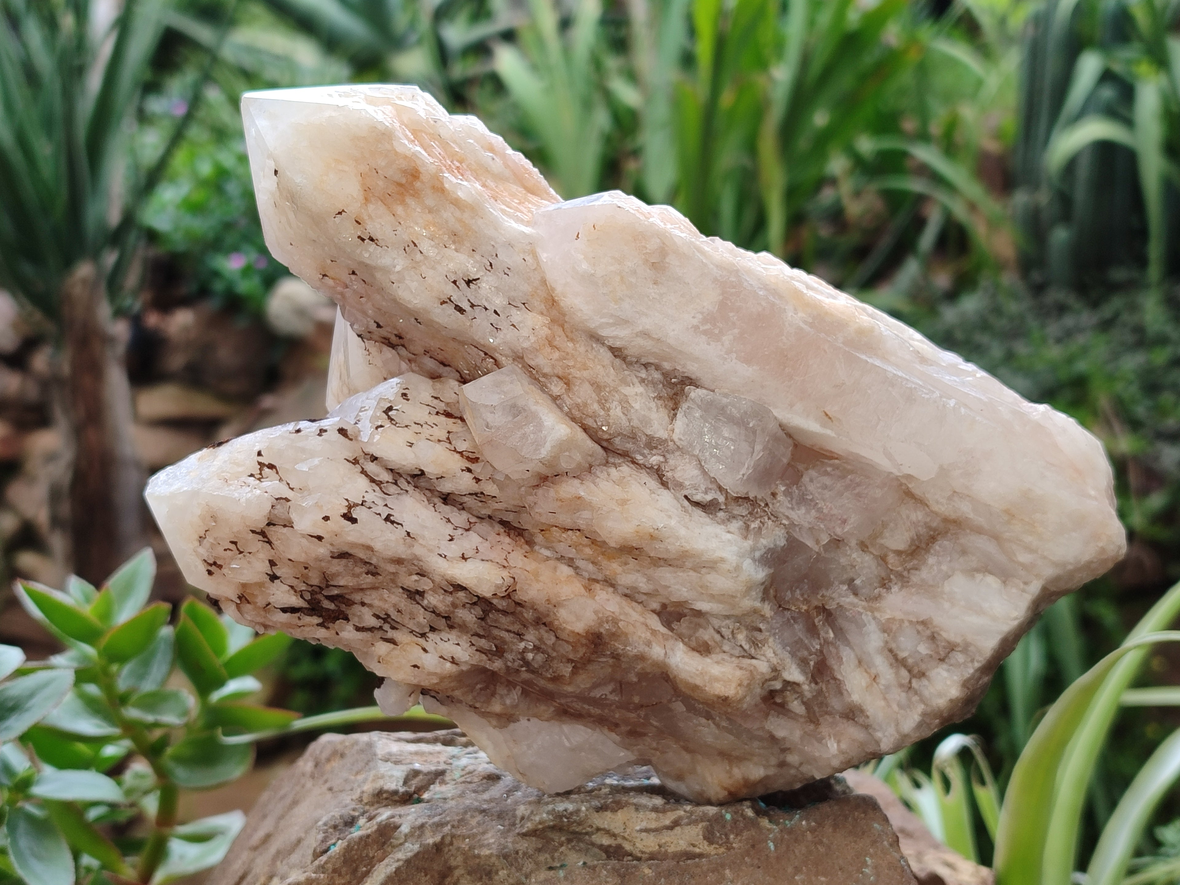 Natural White Cascading Fir Tree Candle Quartz Cluster x 1 From Madagascar - Toprock Gemstones and Minerals 