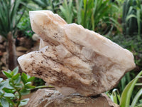 Natural White Cascading Fir Tree Candle Quartz Cluster x 1 From Madagascar