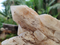 Natural White Cascading Fir Tree Candle Quartz Cluster x 1 From Madagascar